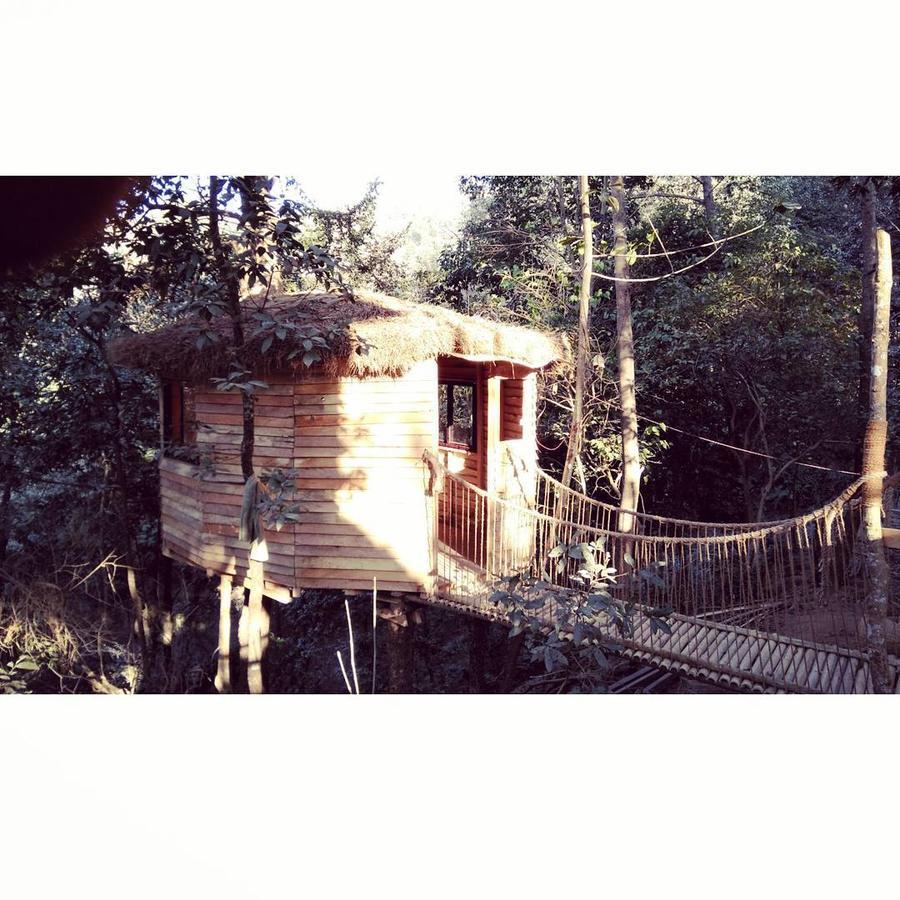 Bunjungle Adventures Hotel Kathmandu Exterior foto